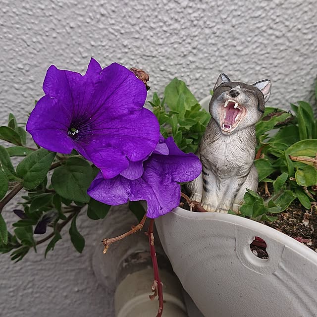 NOAHさんの実例写真
