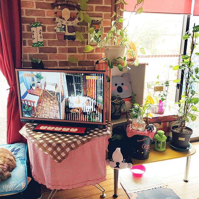 kumutanさんの実例写真