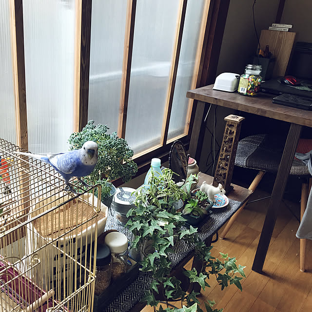 RinkouGrowさんの実例写真