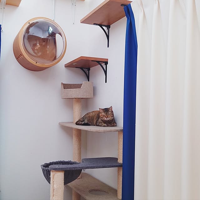 mochicoさんの実例写真