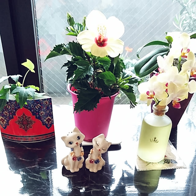 bonobono54さんの実例写真