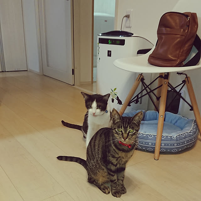 taka-kiさんの実例写真