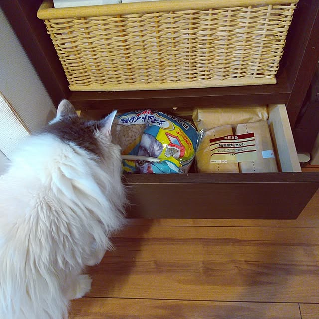 brown-whiteさんの部屋