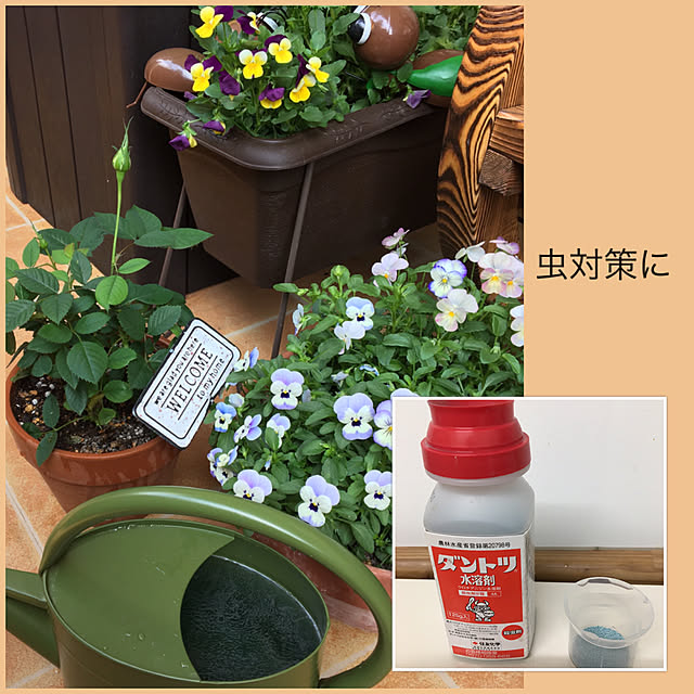 akezouさんの実例写真