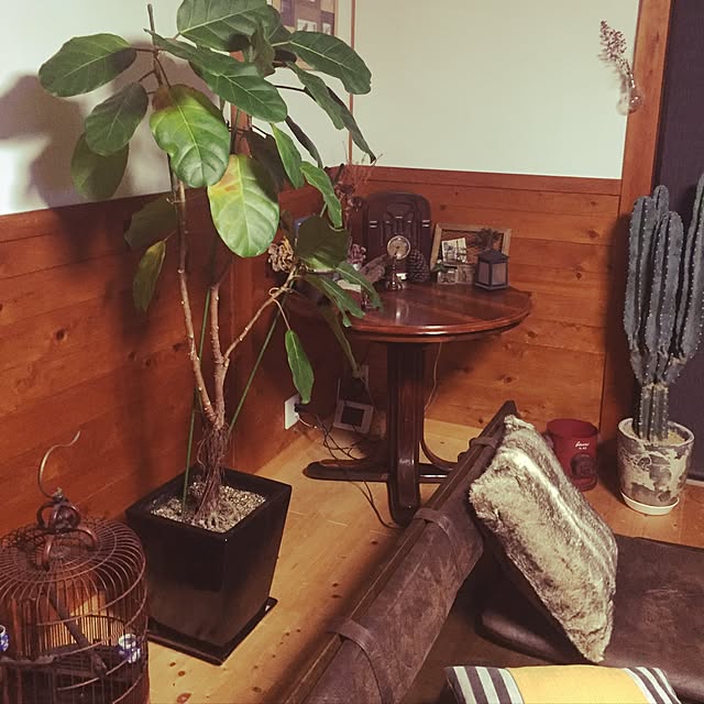 Hikariさんの実例写真