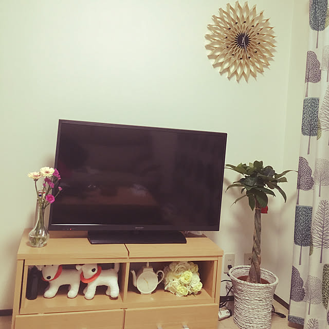 dericoさんの実例写真
