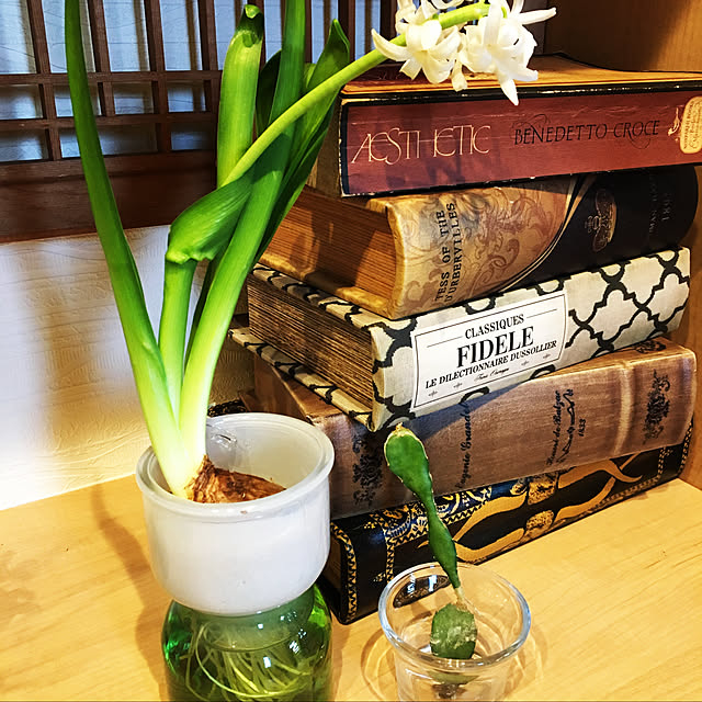 y.yoshimi4437さんの実例写真