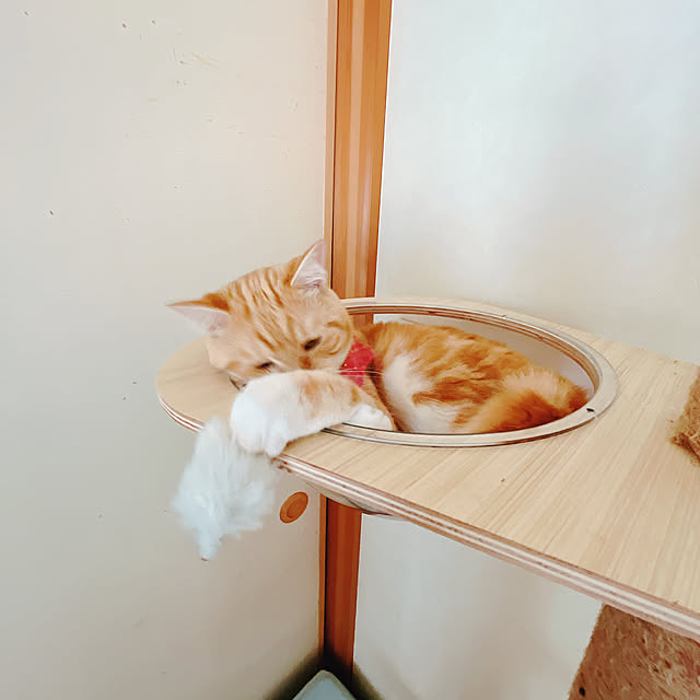 moolさんの部屋