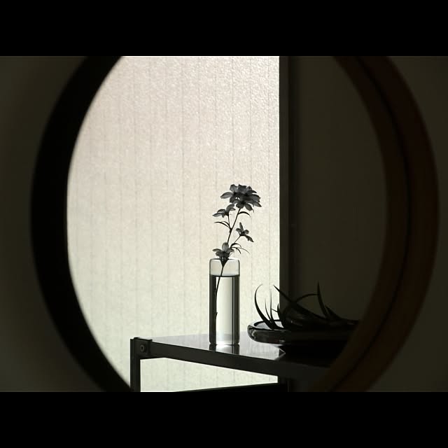 towaさんの実例写真
