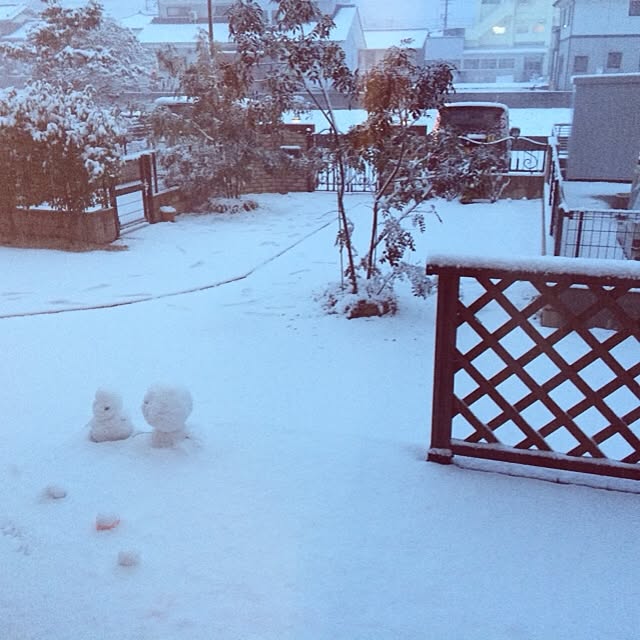 実例写真