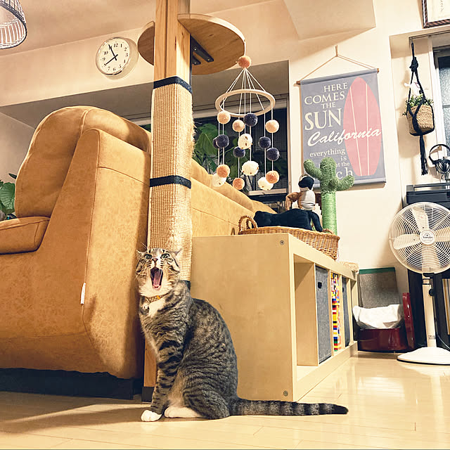 ♥︎】かわいい猫の装飾品、居心地の良い家庭用家具
