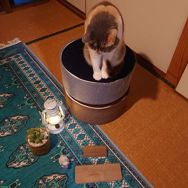 fukuさんの実例写真