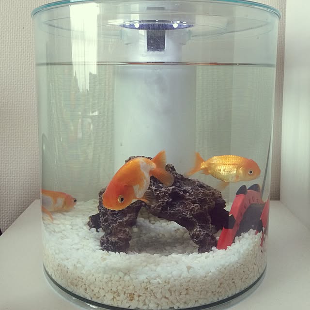 vam2さんの実例写真