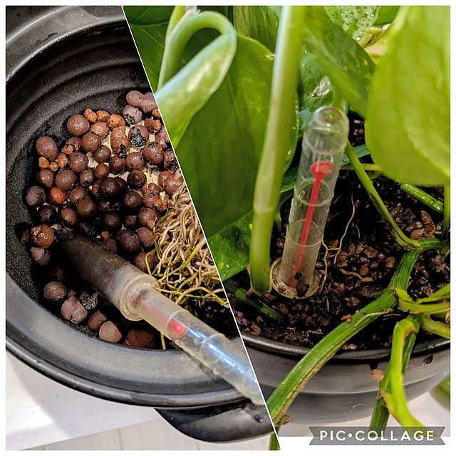 mi-saさんの部屋