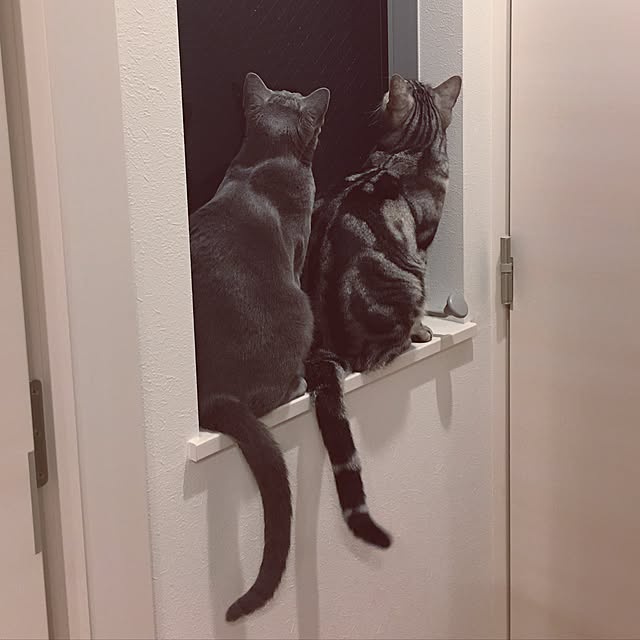 maripoさんの実例写真