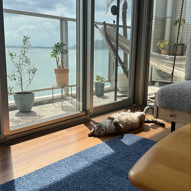 amさんの部屋
