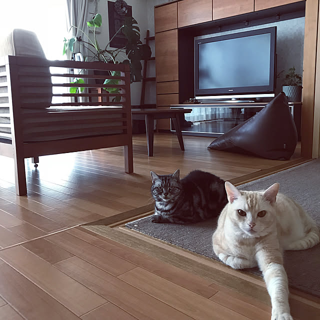 hiyupan88さんの実例写真
