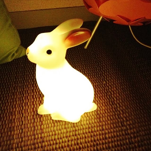 kan_chanさんの実例写真