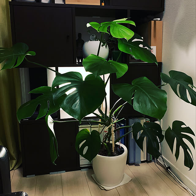 Toshihideさんの実例写真
