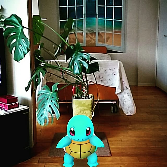 hidemomさんの実例写真
