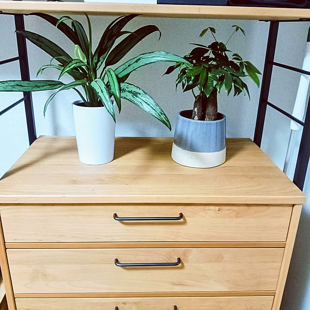 hanachanさんの部屋