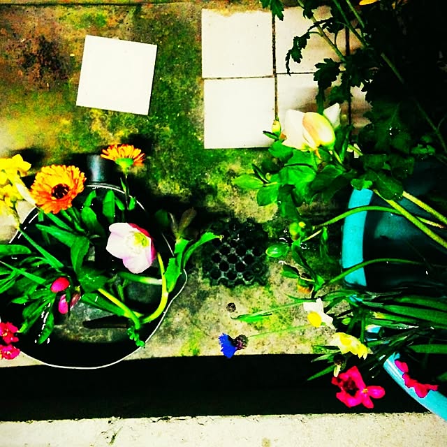 makoさんの実例写真