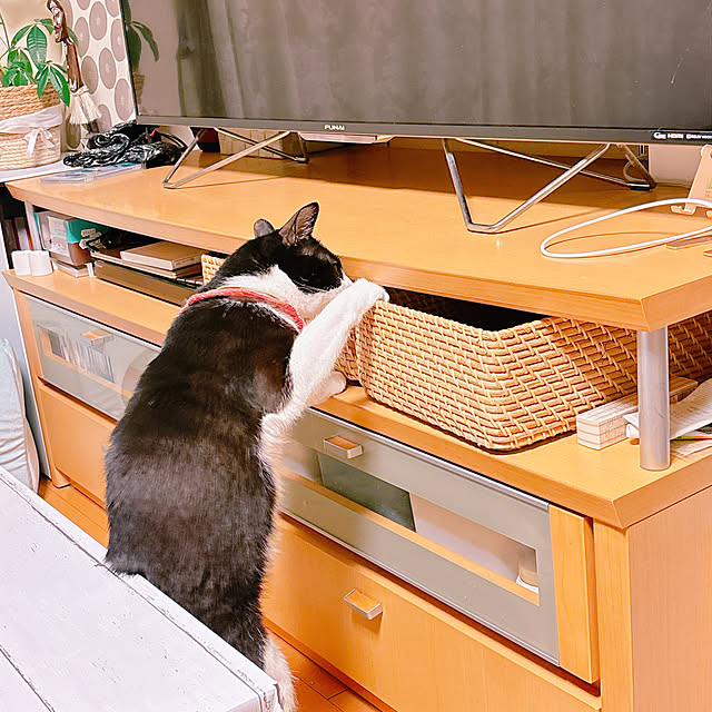 moolさんの部屋