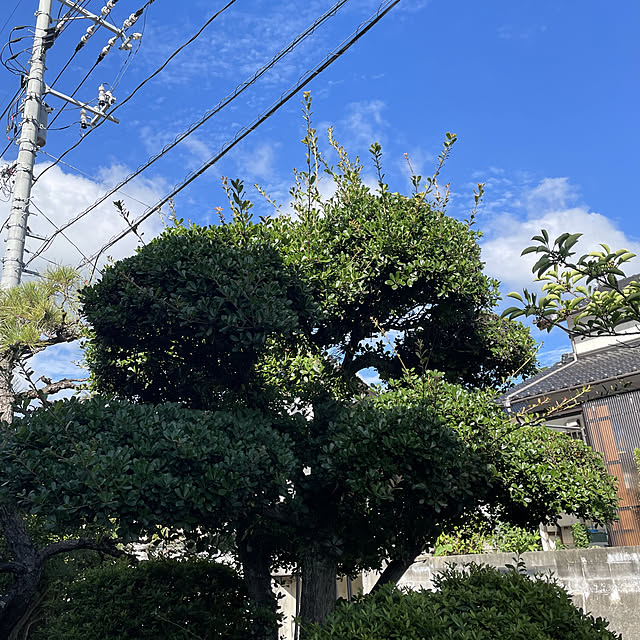 yuu.oさんの実例写真