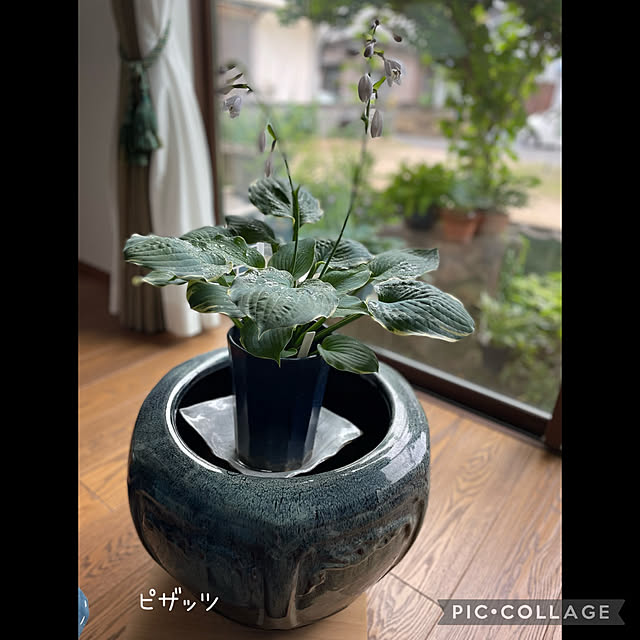 buchiさんの実例写真