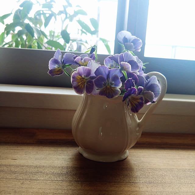 Petit_Pommierさんの部屋