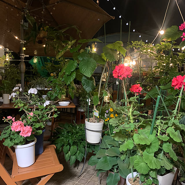 Aqettyさんの部屋