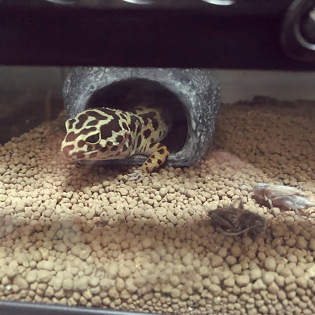 mikiさんの実例写真
