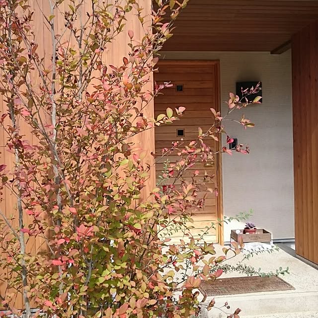 玄関/入り口のインテリア実例 - 2015-10-04 19:47:04