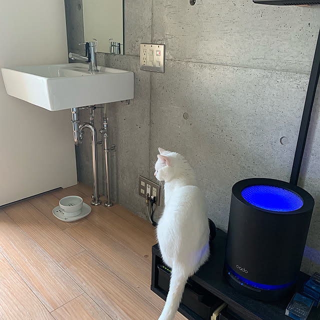rayjyuさんの実例写真
