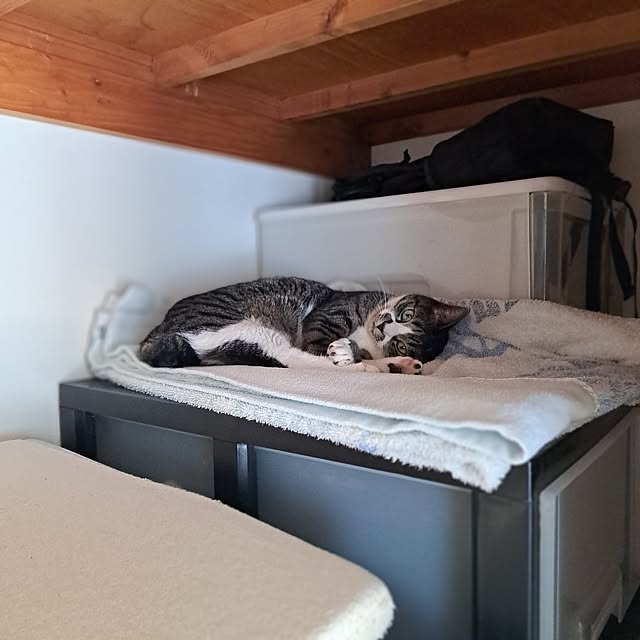 shinoさんの部屋