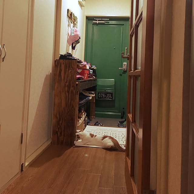 実例写真