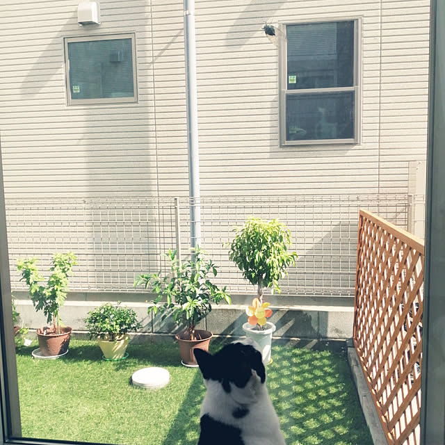 nekoさんの実例写真