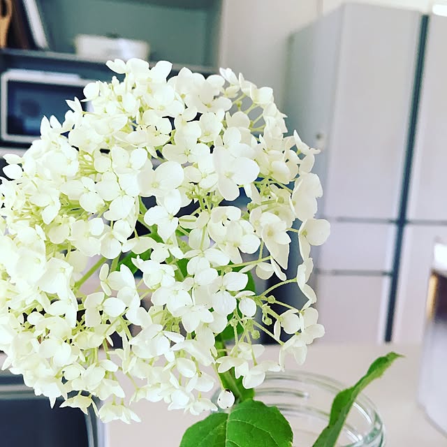 hiromimiさんの実例写真