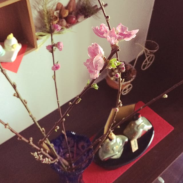 nicoppeさんの部屋