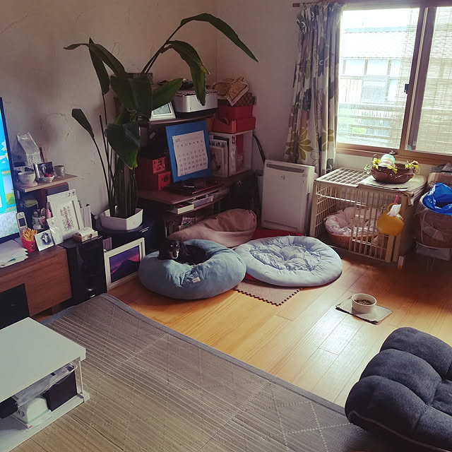 coco1204さんの実例写真