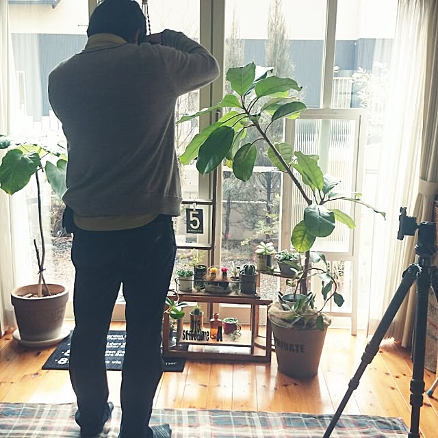 naoonさんの実例写真