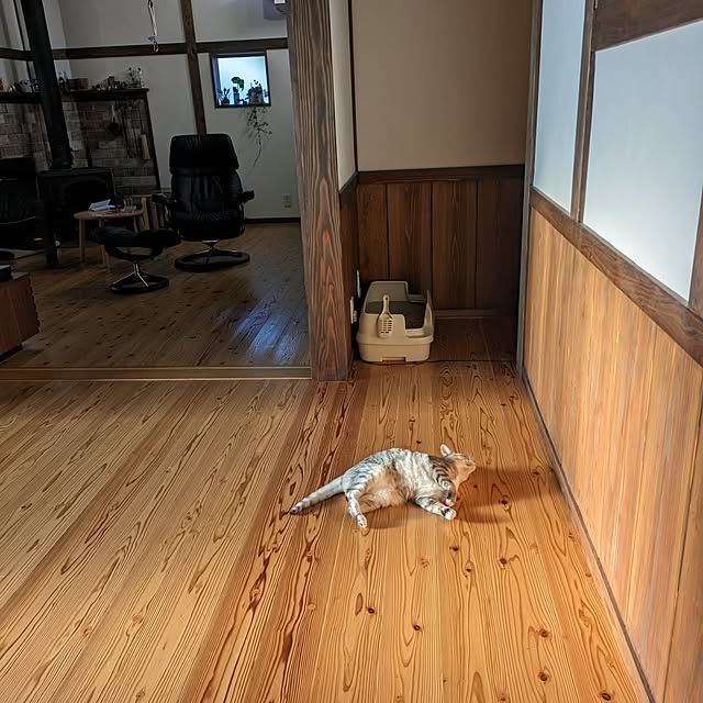 chiibou5223さんの実例写真