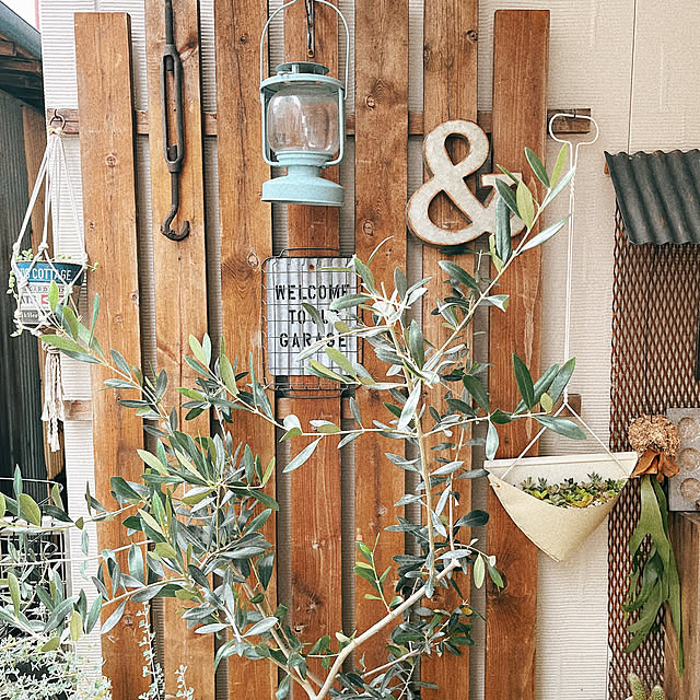 okkunさんの部屋