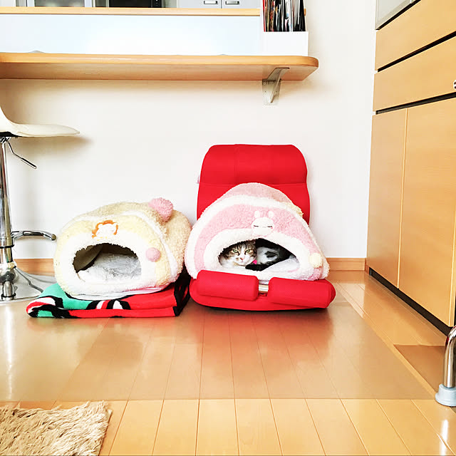 nnmmさんの実例写真