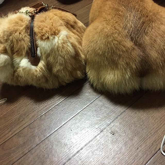 meruさんの実例写真