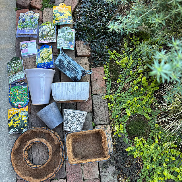 kyoko1124koさんの部屋