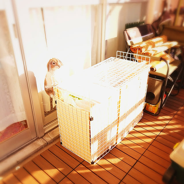 mariaさんの実例写真