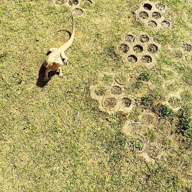 sango.さんの実例写真