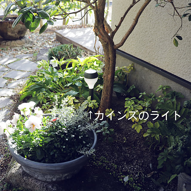onsix777さんの部屋