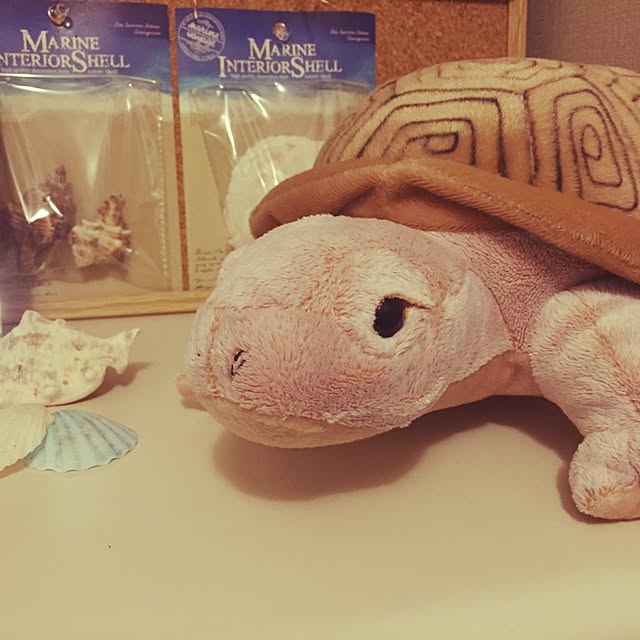 Makoさんの実例写真